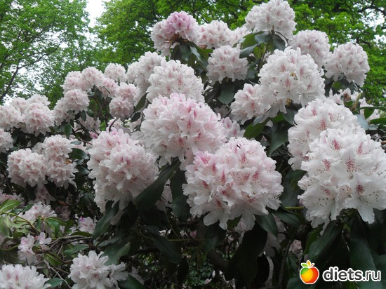 34 ����: ������������� ����