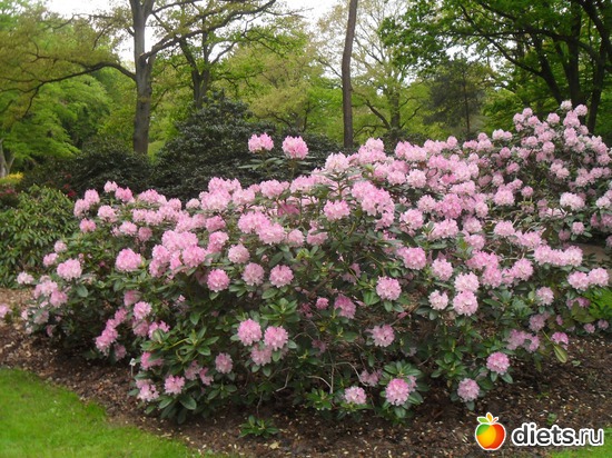 35 ����: ������������� ����