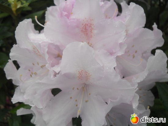 42 ����: ������������� ����