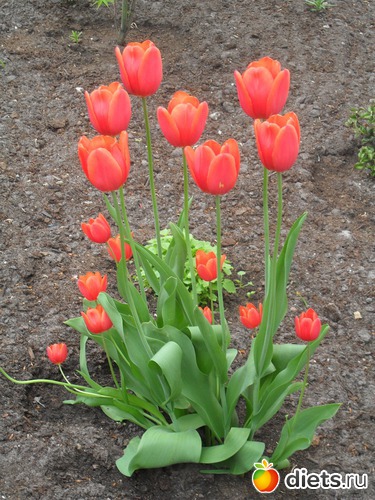 3 ����: ������������� ����