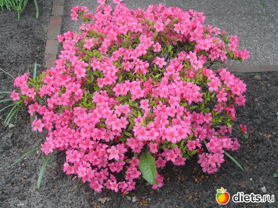 4 ����: ������������� ����