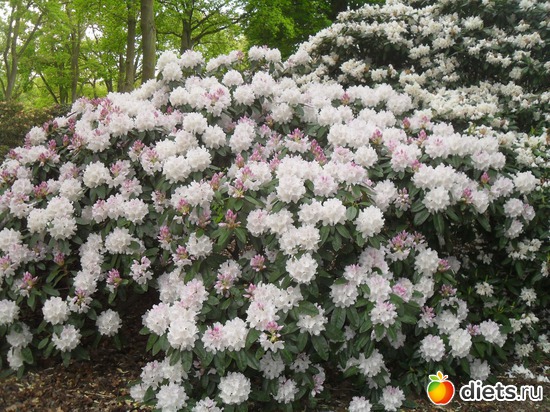 6 ����: ������������� ����