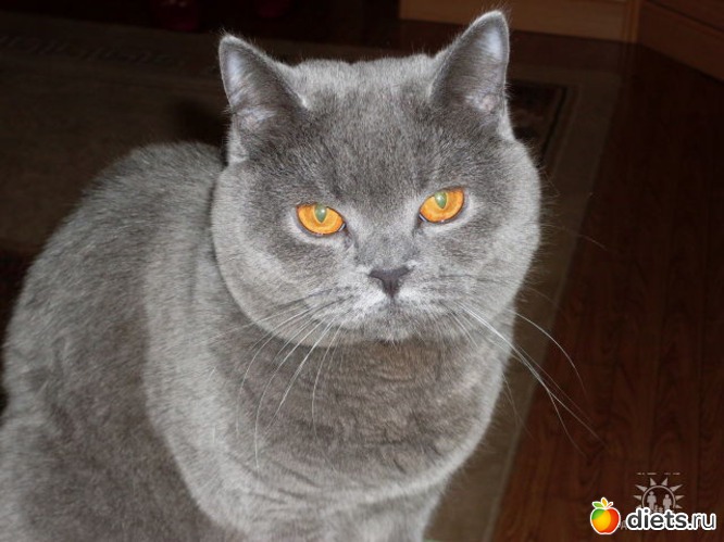 6 ����: �� � �����