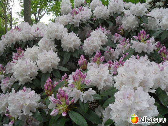 7 ����: ������������� ����