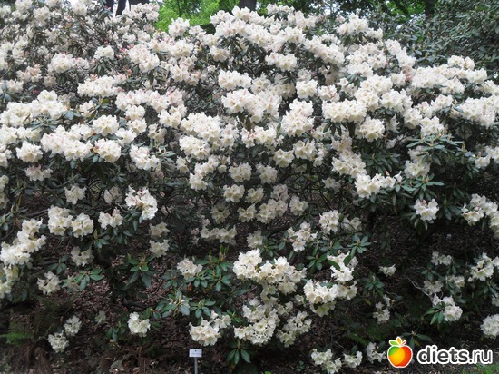 8 ����: ������������� ����