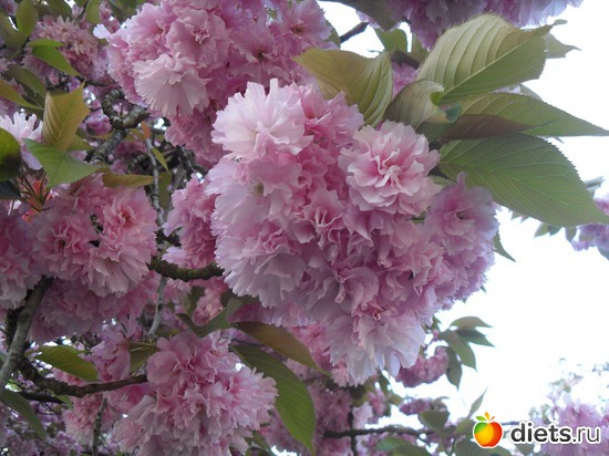 10 ����: ������������� ����