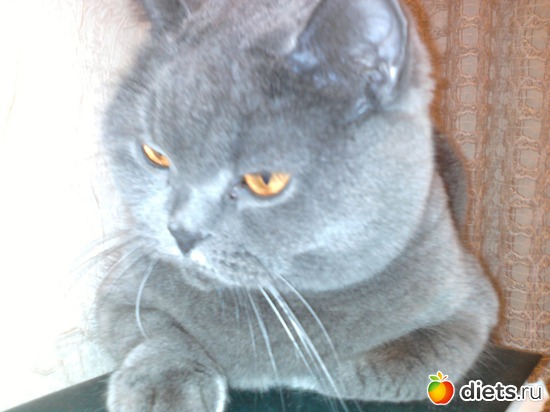 7 ����: �� � �����