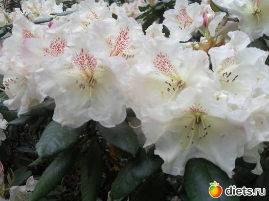 11 ����: ������������� ����