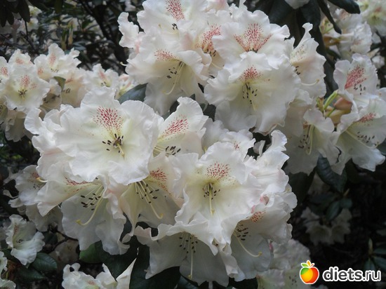 12 ����: ������������� ����