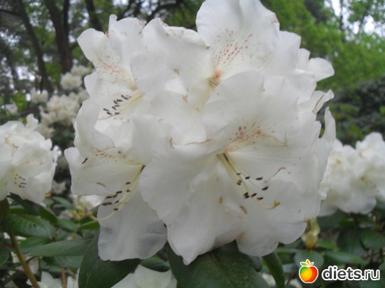 13 ����: ������������� ����