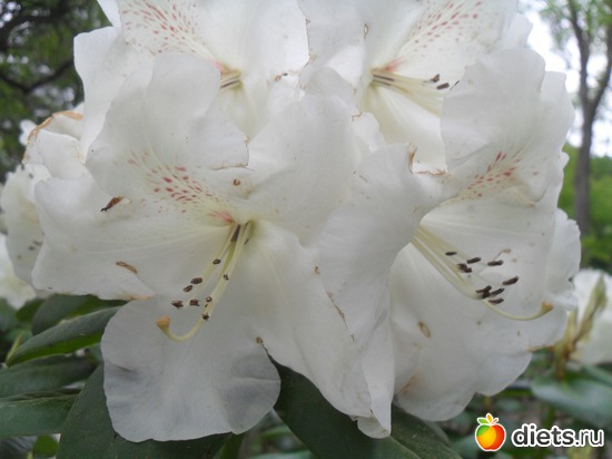 14 ����: ������������� ����