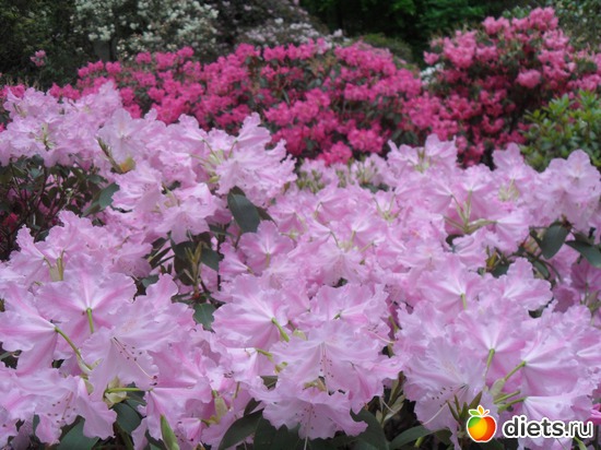 15 ����: ������������� ����