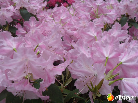 16 ����: ������������� ����