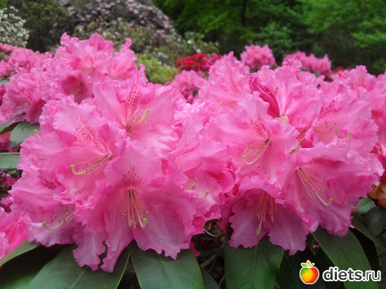 17 ����: ������������� ����