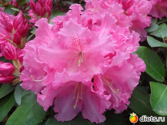 18 ����: ������������� ����