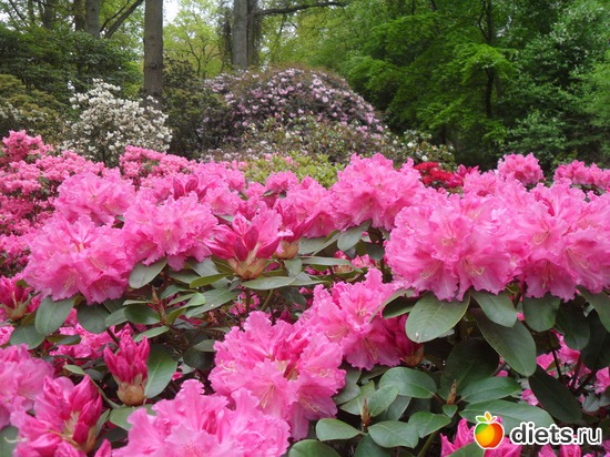 19 ����: ������������� ����