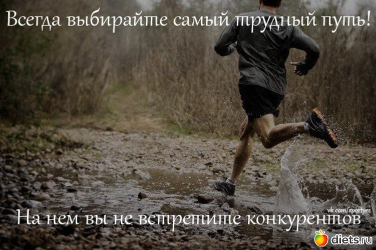 40 ����: ���������