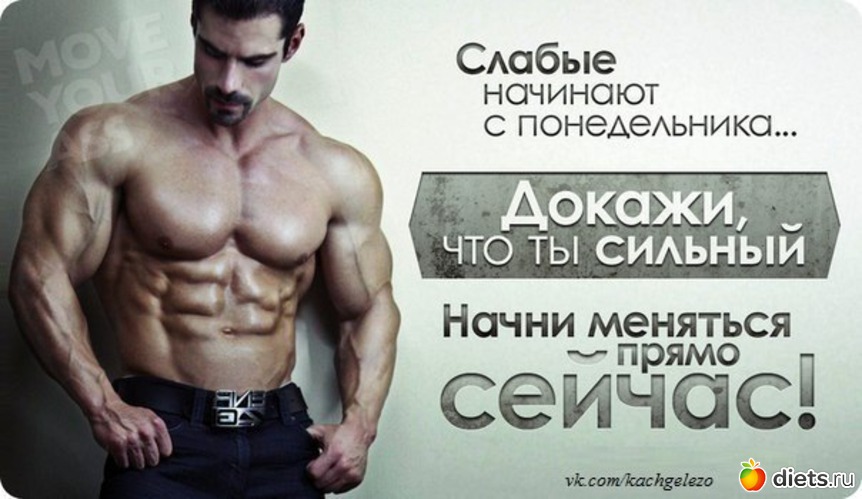 41 ����: ���������