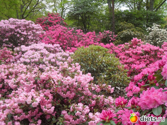 20 ����: ������������� ����