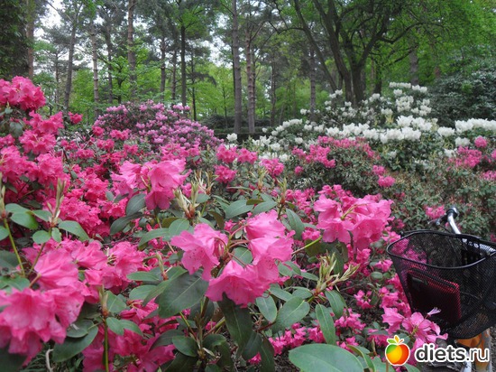 21 ����: ������������� ����