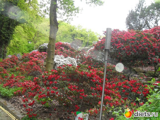 22 ����: ������������� ����