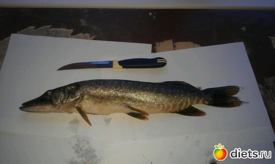 �����, ������: ������ �����