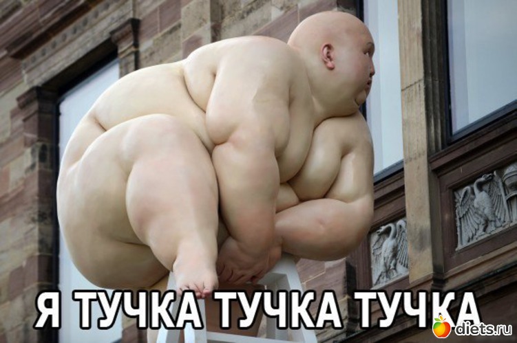 105 ����: ����������