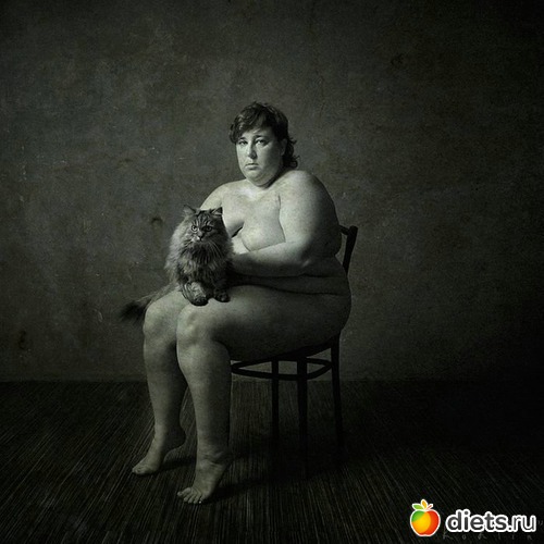 113 ����: ����������