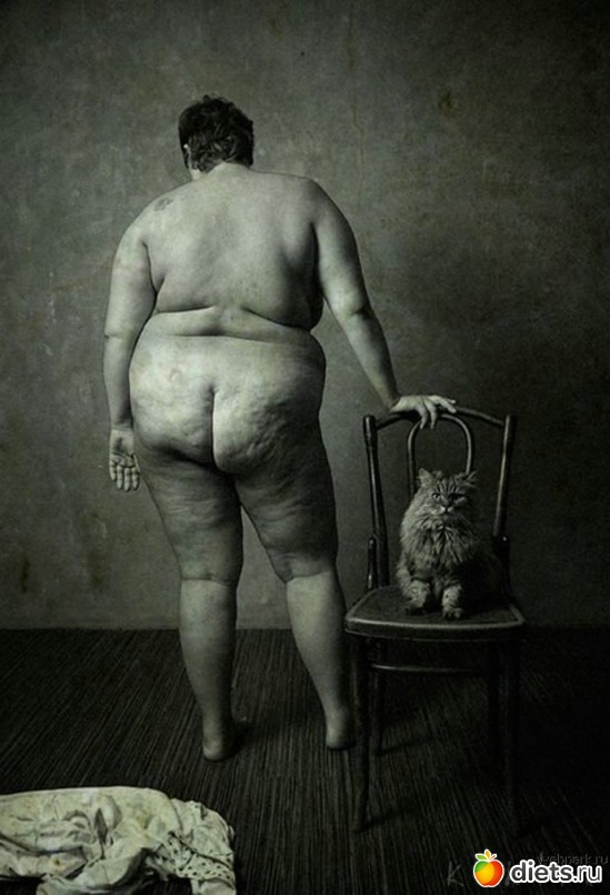 114 ����: ����������