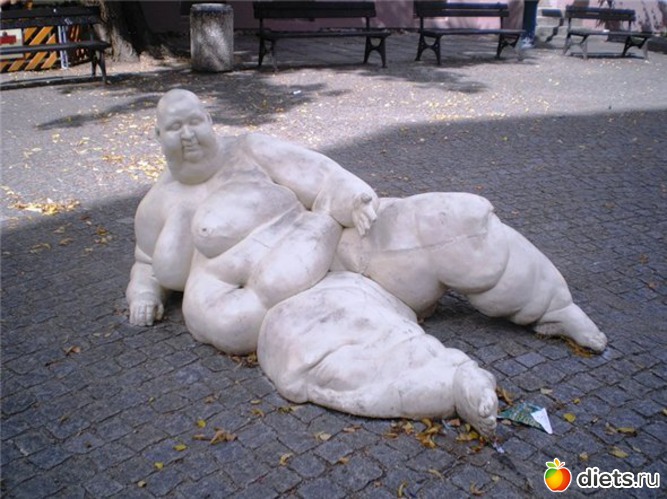 116 ����: ����������