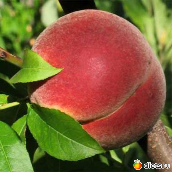 9 фото: peach •