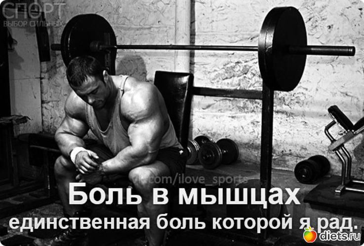 ���� � ������ ������������ ���� ������� � ���, ������: �������� ��������