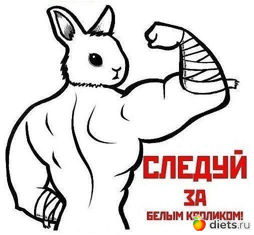 ������ �� ����� ��������