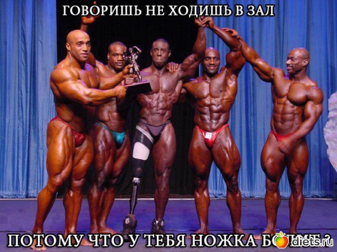 � ���� ����� �����?, ������: �������� ��������