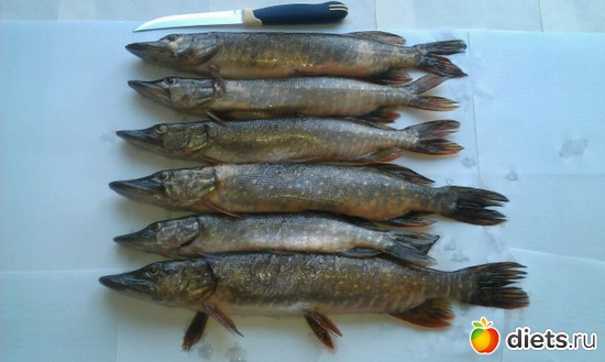 ����, ������: ������ �����