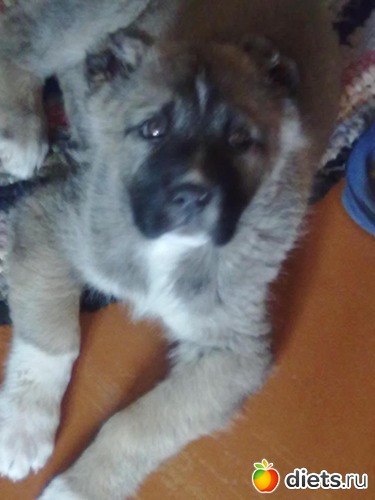 5 ����: ��� ����������!!!!!!!