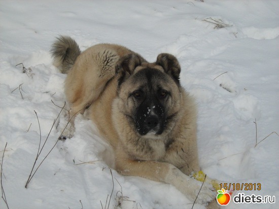 6 ����: ��� ����������!!!!!!!