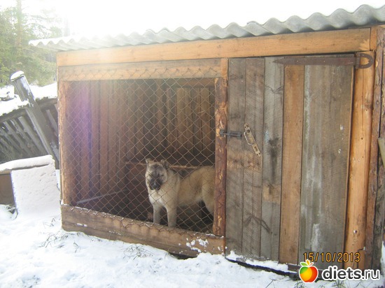 7 ����: ��� ����������!!!!!!!