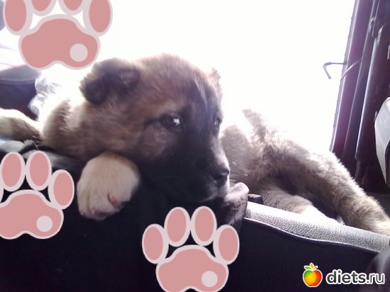 2 ����: ��� ����������!!!!!!!