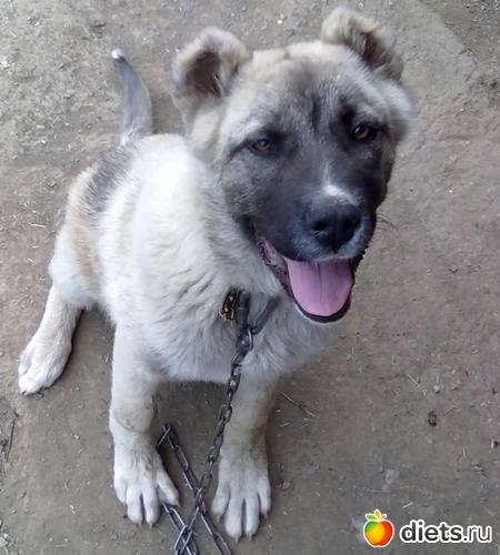 3 ����: ��� ����������!!!!!!!