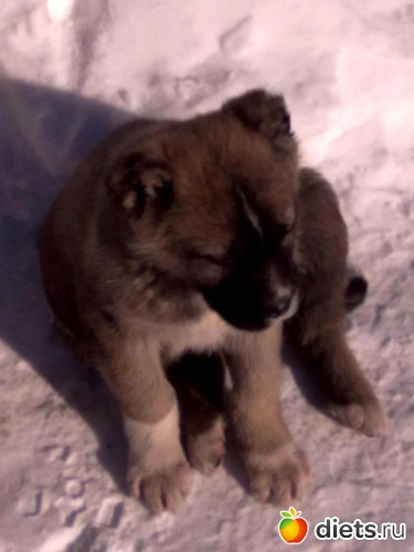 4 ����: ��� ����������!!!!!!!