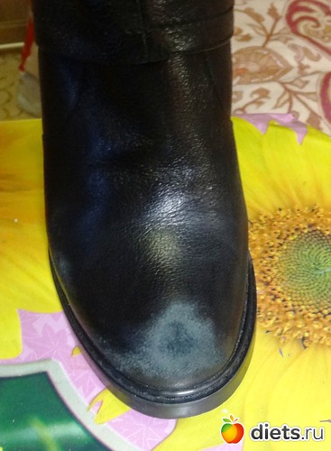 2 ����: �����