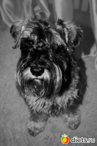 Баунти, альбом: Фото мои