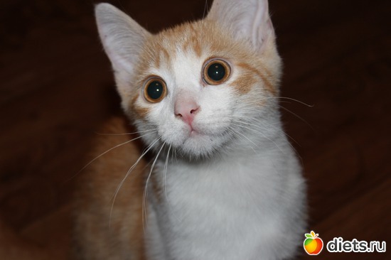 2 ����: ����� ����