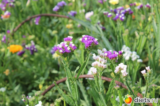 3 ����: ����� ����