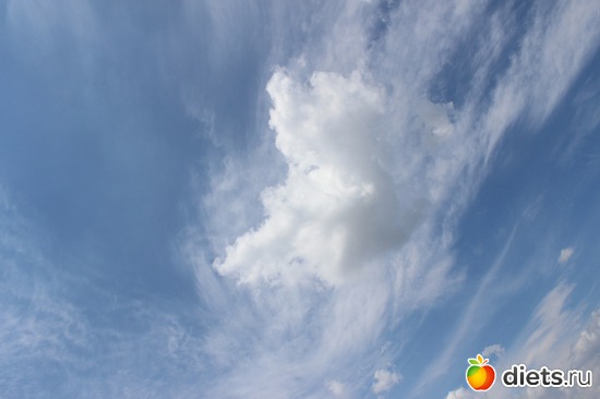 4 ����: ����� ����