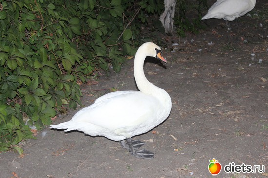 5 ����: ����� ����