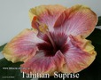 082 - Tahitian Suprise