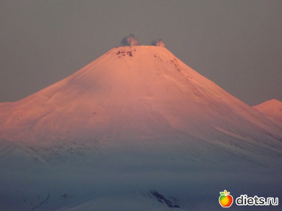 ����� ���������, ������: ��������