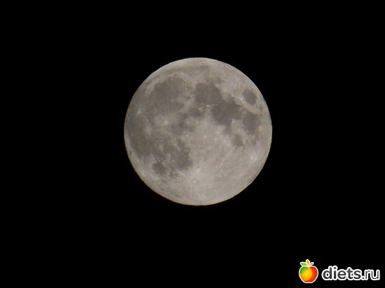 ����, ������: ��������